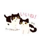 ハーツ保護猫シェルター・毎日使える似顔絵（個別スタンプ：21）