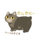 ハーツ保護猫シェルター・毎日使える似顔絵（個別スタンプ：22）