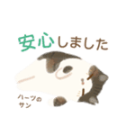 ハーツ保護猫シェルター・毎日使える似顔絵（個別スタンプ：23）
