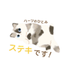 ハーツ保護猫シェルター・毎日使える似顔絵（個別スタンプ：25）