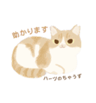 ハーツ保護猫シェルター・毎日使える似顔絵（個別スタンプ：26）