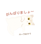 ハーツ保護猫シェルター・毎日使える似顔絵（個別スタンプ：27）