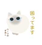 ハーツ保護猫シェルター・毎日使える似顔絵（個別スタンプ：28）