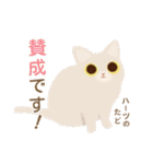 ハーツ保護猫シェルター・毎日使える似顔絵（個別スタンプ：31）