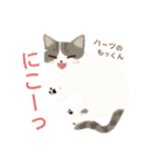 ハーツ保護猫シェルター・毎日使える似顔絵（個別スタンプ：33）