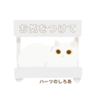 ハーツ保護猫シェルター・毎日使える似顔絵（個別スタンプ：35）