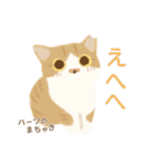 ハーツ保護猫シェルター・毎日使える似顔絵（個別スタンプ：38）