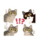 ハーツ保護猫シェルター・毎日使える似顔絵（個別スタンプ：39）