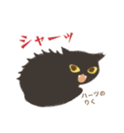 ハーツ保護猫シェルター・毎日使える似顔絵（個別スタンプ：40）