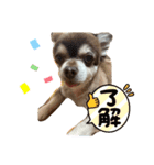 こてつの日常（デイリーver）（個別スタンプ：3）