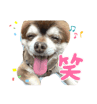 こてつの日常（デイリーver）（個別スタンプ：7）