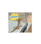 カナヘビのかなもち（個別スタンプ：3）