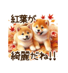 毎日使える日常の柴犬（個別スタンプ：35）