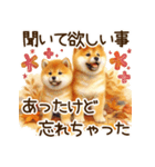 毎日使える日常の柴犬（個別スタンプ：37）