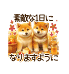 毎日使える日常の柴犬（個別スタンプ：39）