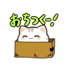 友達みたいなまあるい猫-2（個別スタンプ：1）