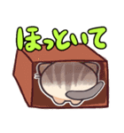 友達みたいなまあるい猫-2（個別スタンプ：22）