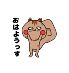 リスっす（個別スタンプ：1）
