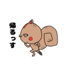 リスっす（個別スタンプ：19）