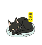 黒猫スタンプ【手書き風】（個別スタンプ：3）