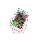 しば犬りんちゃん（個別スタンプ：6）