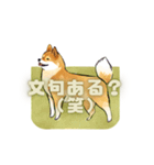 おれさま柴犬（個別スタンプ：8）