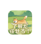 おれさま柴犬（個別スタンプ：13）