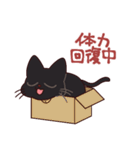 黒猫⭐ベルの日常【やる気なし】（個別スタンプ：31）