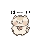 保護犬もなかの毎日（個別スタンプ：10）