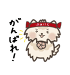 保護犬もなかの毎日（個別スタンプ：12）