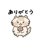 保護犬もなかの毎日（個別スタンプ：13）