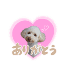 はなモコルルちゃん（個別スタンプ：2）
