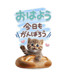 ねこちぃずneo★やさしい挨拶-BIG-（個別スタンプ：4）