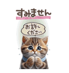 ねこちぃずneo★やさしい挨拶-BIG-（個別スタンプ：14）