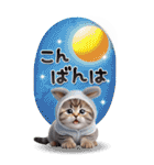 ねこちぃずneo★やさしい挨拶-BIG-（個別スタンプ：23）