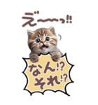 ねこちぃずneo★やさしい挨拶-BIG-（個別スタンプ：25）