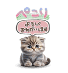 ねこちぃずneo★やさしい挨拶-BIG-（個別スタンプ：37）