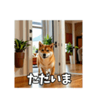 【柴犬】日常生活で使える柴犬スタンプ（個別スタンプ：4）