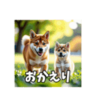 【柴犬】日常生活で使える柴犬スタンプ（個別スタンプ：5）