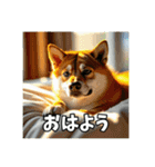 【柴犬】日常生活で使える柴犬スタンプ（個別スタンプ：6）