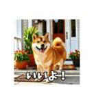 【柴犬】日常生活で使える柴犬スタンプ（個別スタンプ：8）