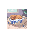 AIdogs（個別スタンプ：11）