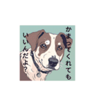 AIdogs（個別スタンプ：16）
