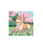 AIdogs（個別スタンプ：36）