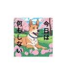 AIdogs（個別スタンプ：37）