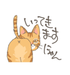 茶トラ猫だにゃん（個別スタンプ：9）