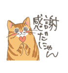 茶トラ猫だにゃん（個別スタンプ：14）