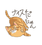 茶トラ猫だにゃん（個別スタンプ：15）