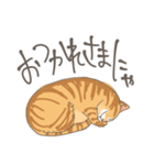 茶トラ猫だにゃん（個別スタンプ：20）