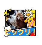 キャバリア クル ④（個別スタンプ：37）